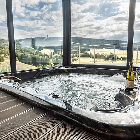 Wellness Villa Klinovec Views Loučná pod Klínovcem Dış mekan fotoğraf