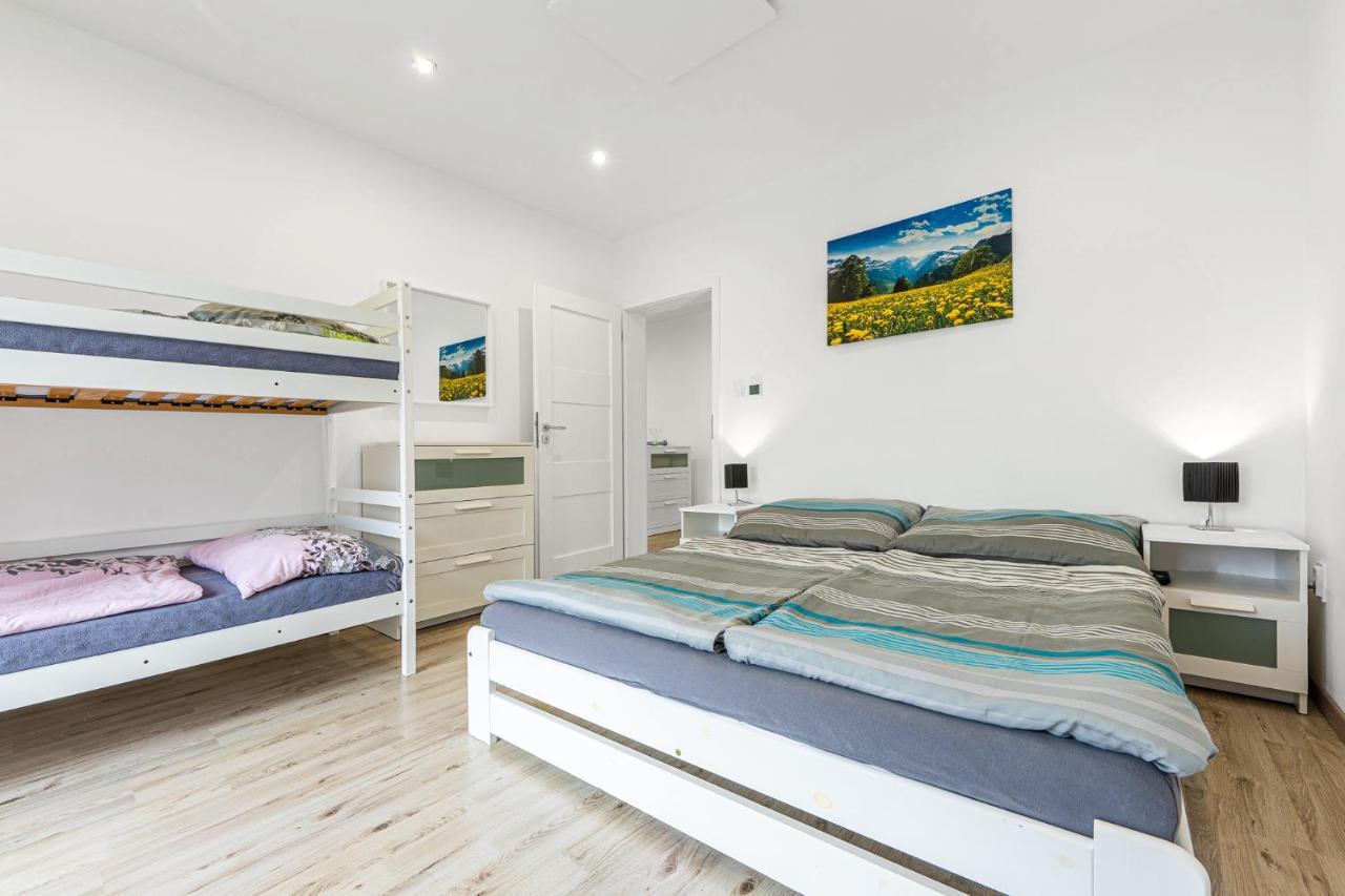 Wellness Villa Klinovec Views Loučná pod Klínovcem Dış mekan fotoğraf
