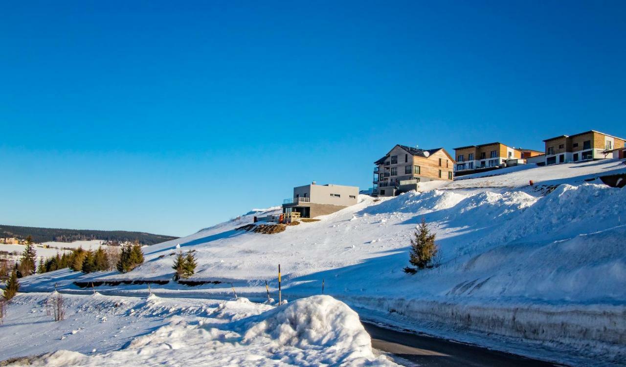 Wellness Villa Klinovec Views Loučná pod Klínovcem Dış mekan fotoğraf